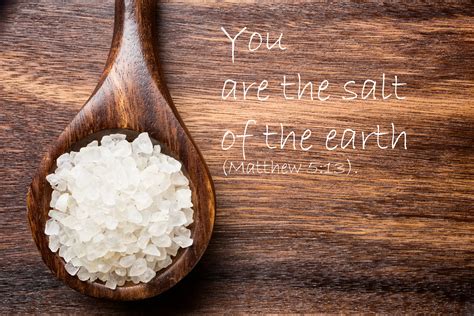 “you Are The Salt Of The Earth” Brigidine Sisters