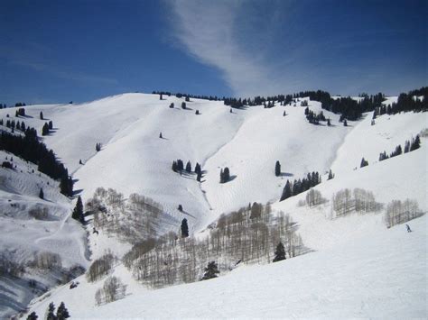 Vail Back Bowls Best Powder Vail Colorado Colorado Ski Resorts
