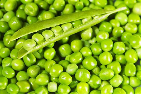 Nobody Shot Close Up Heap Of Fresh Green Peas Vegetable Food