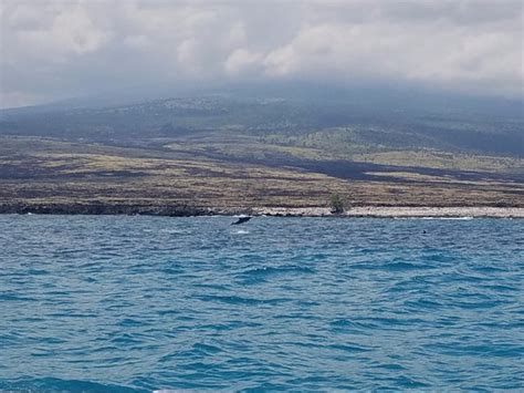 Hawaiian Boating Adventures Kailua Kona 2022 All You Need To Know