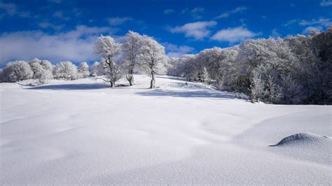 壁纸 雪 冬季 晴朗的天空 树木 3000x1688 Acersense 1272061 电脑桌面壁纸
