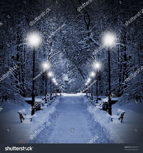 Winter Park Evening Covered Snow Row Stock Photo 85838104 Shutterstock