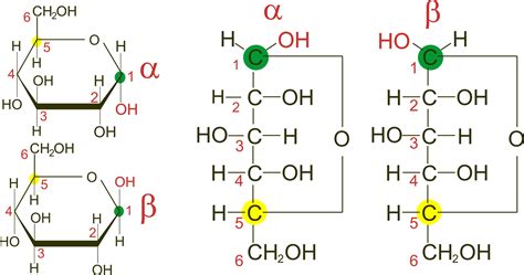 What is an anomeric carbon? A Vet To Be: Glucose