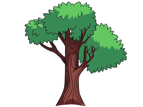 Cartoon Tree Drawing At Getdrawings Free Download