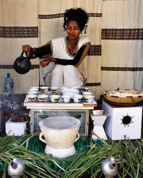Coffee History Wild Coffee Plants Grow In Ethiopia егэ