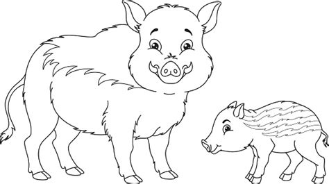 Wild Boar Coloring Page Stock Illustration Download Image Now Istock