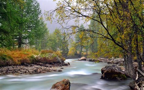 1920x1080 1920x1080 Trees River Stream Of Water Stones Landscape