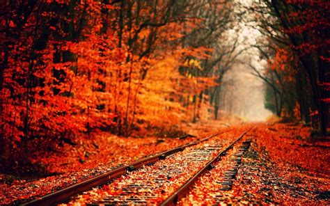 Autumn Fall Landscape Nature Tree Forest Railroad Tracks