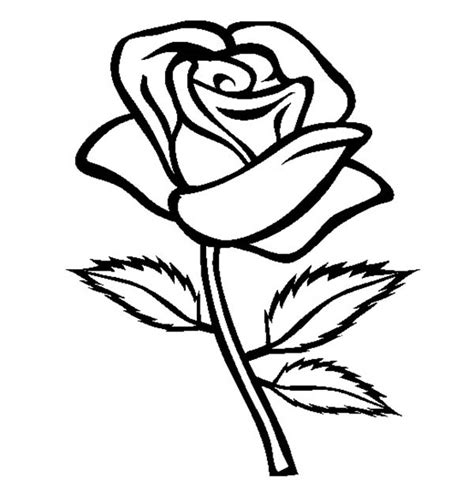 Print coloring of roses and free drawings. Rose With Three Leaves Coloring Page - Download & Print ...