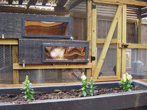 If you're planning to get just a few chickens, this will suit them just fine! Chicken Coops for Backyard Flocks | HGTV