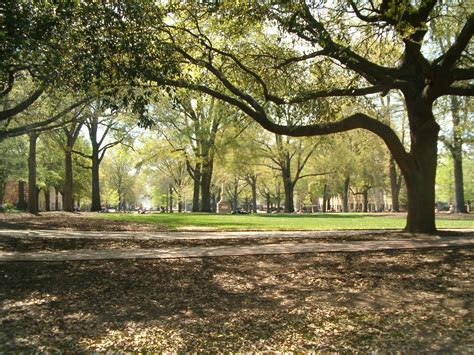 [77+] University Of South Carolina Wallpaper on WallpaperSafari