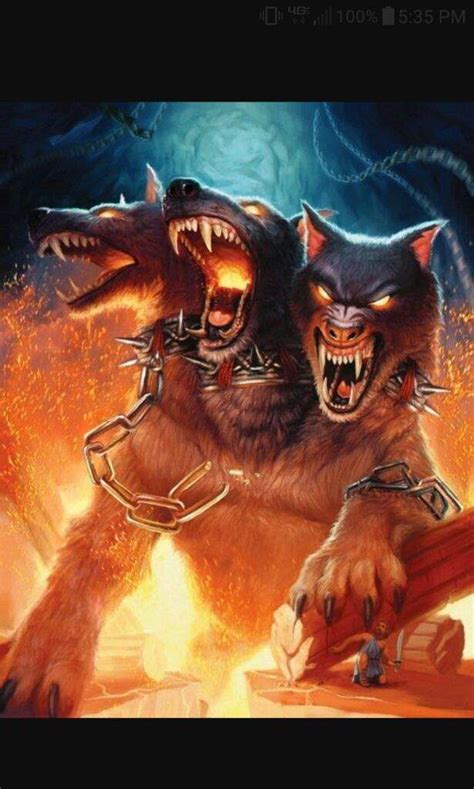 Cerberus Wiki Mythical Creatures And Beasts Amino