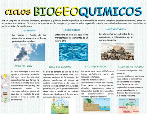 Infografia Ciclos Biogeoquimicos Ciclosciclos Biogeoquimicos