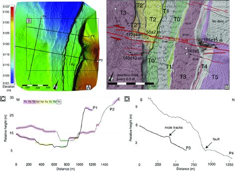 Terrestrial Lidar Data At Lmc Site High Resolution Digital Elevation