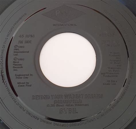 Sybil Beyond Your Wildest Dreams 1993 Black Injection Jukebox Label
