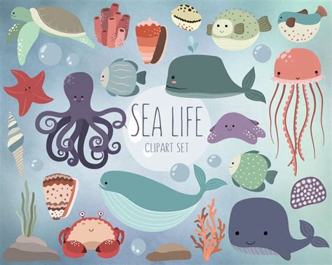Sea Life Clipart 25 Cute Ocean Animals Clip Art Set Etsy Sea Life