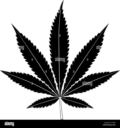 Hoja De Cannabis Aislado Sobre Fondo Blanco Silueta De Marihuana