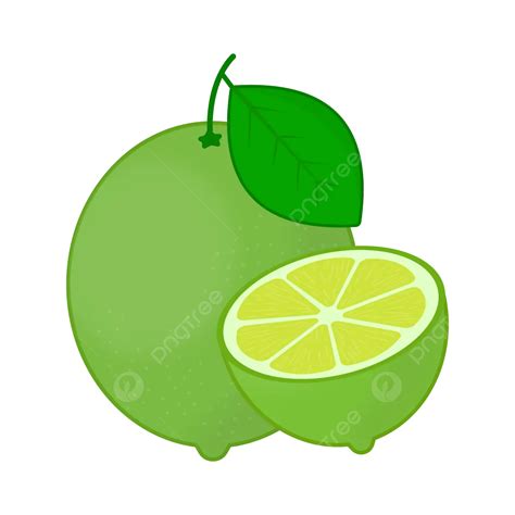 Lime Vector Illustration Lime Lime Fruit Lime Slice Png And Vector