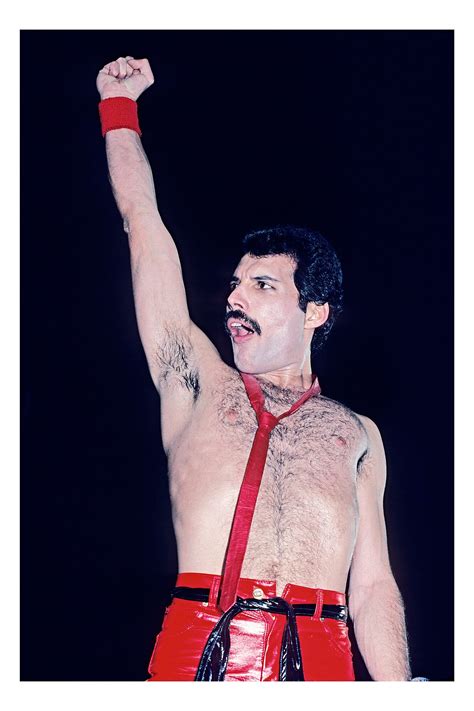 Discover 144 Freddie Mercury Hairstyles Latest Vn