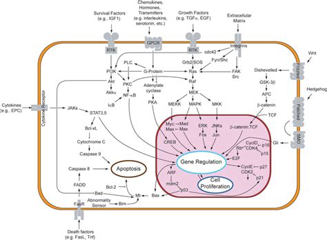 Nlm title abbreviation plant physiological phenomena* plants/chemistry. Structural Biochemistry/Cell Signaling Pathways ...