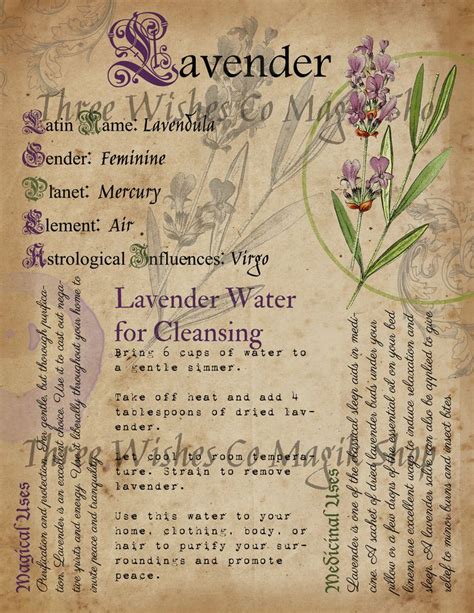 Printable Herb Profiles Book Of Shadows Pages Herb Correspondences