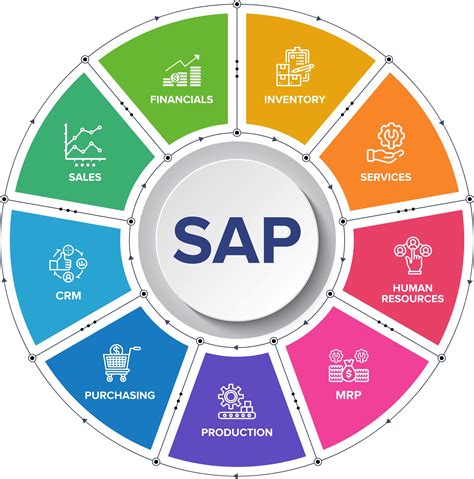 Sap Health Check And Audit Services Gauri