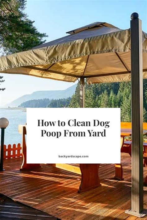 How To Clean Dog Poop From Yard