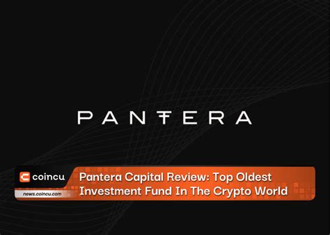 Pantera Capital Review Top Oldest Investment Fund In The Crypto World
