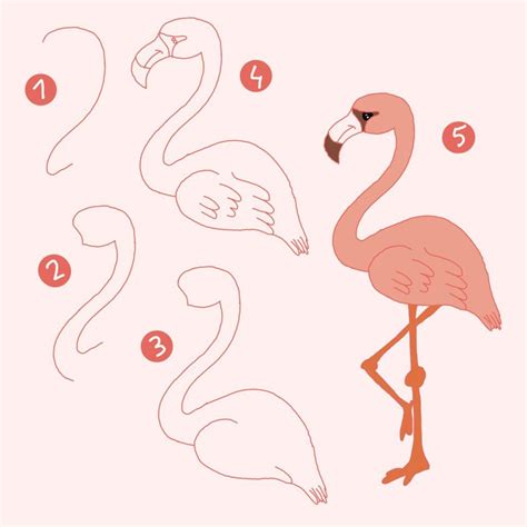 How To Draw A Pink Flamingo Step By Step At Drawing Tutorials