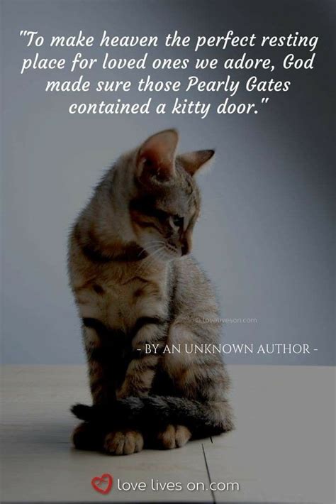 Pin By Lizel On Grief And Sadness In 2020 Pet Quotes Cat Cat Quotes