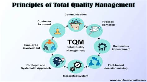 Total Quality Management TQM Examples Principles Elements Learn