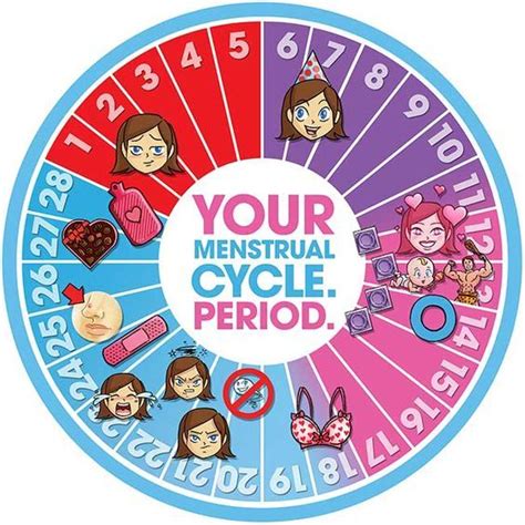 Map Your Menstrual Cycle Day By Day Steven And Chris Menstrual Cycle Remedies For Menstrual