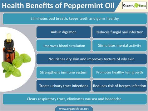 13 Surprising Peppermint Oil Benefits Organic Facts