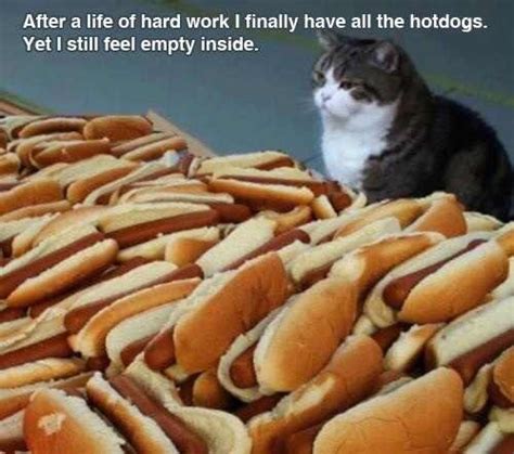 30 Hot Dog Memes And Pics That Will Leave You Hungry For More Funny
