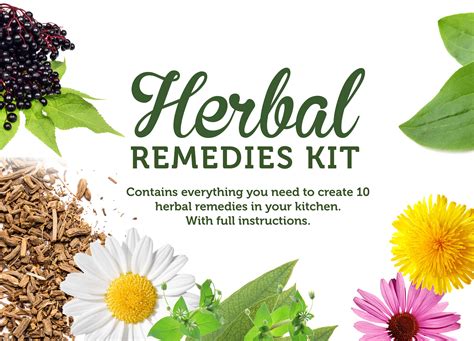 Make Herbal Remedies At Home Pressat