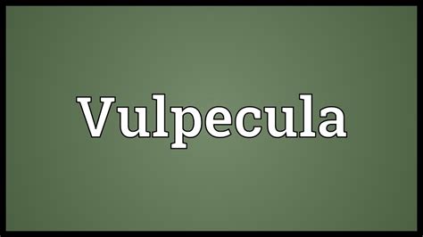 Vulpecula Meaning Youtube