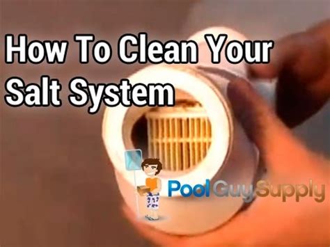 Cell cleaning frequency is dependent on several factors. How to Clean Your Salt System - AquaRite Turbo Cell | Red ...