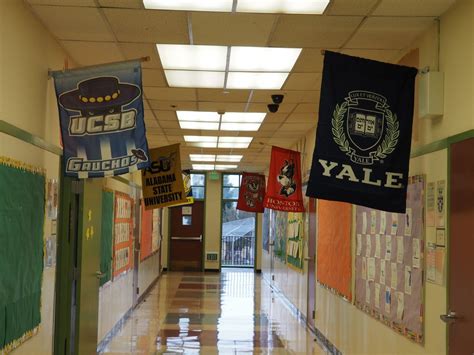 Counselors optimistic about resurgence in schools | EdSource