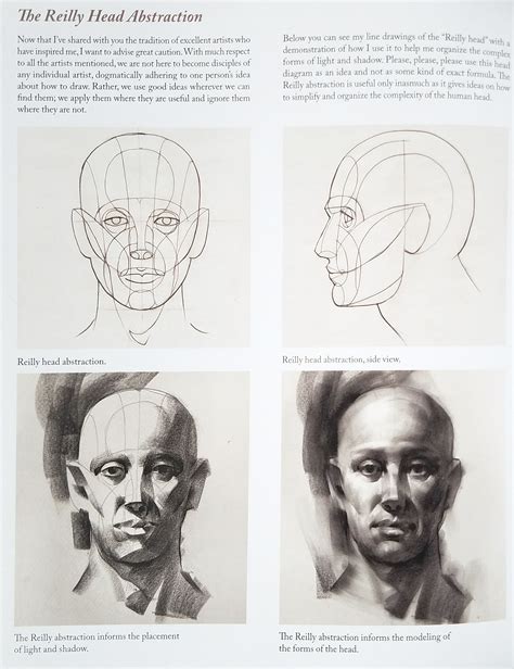 Reilly Head Abstraction Method By Nathan Fowkes Arte de anatomía