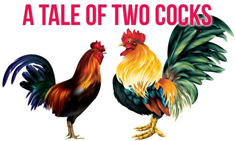 A Tale Of Two Cocks • Dating Kinky