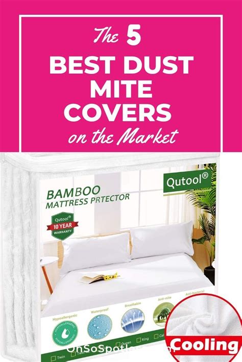 The 5 Best Dust Mite Covers On The Market Dust Mites Cleaning Dust