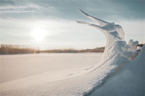 Frozen Wave Photograph By Vladimir Selivanov Fine Art America