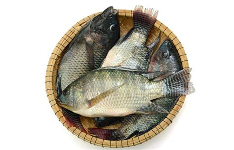 Tilapia Fish Nutrition Profile Benefits And Recipes