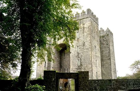 Things To Do In Shannon Ireland