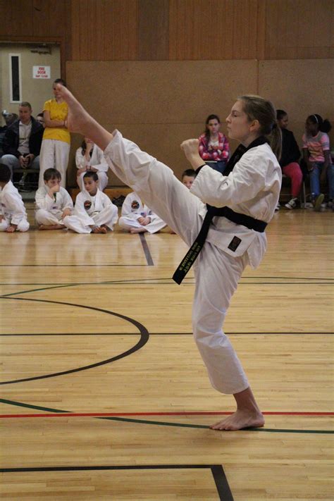 High Front Kick Martial Arts Taekwondo Martial