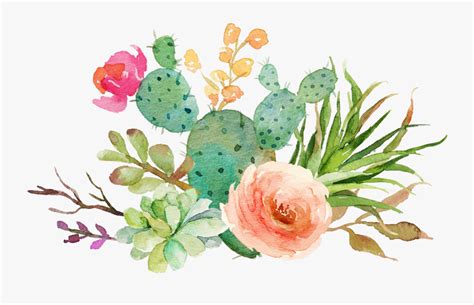 Succulent ii, archival watercolor print this is a giclee print of my original painting. Transparent Watercolor Cactus Png - Watercolor Succulent ...