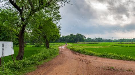 Indian Agricultural Field With Village Road In The Early Morning Stock