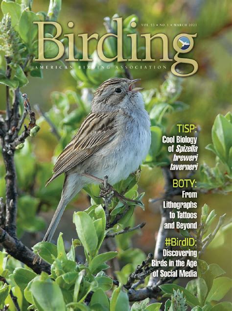 Birding Magazine March 2021 American Birding Association