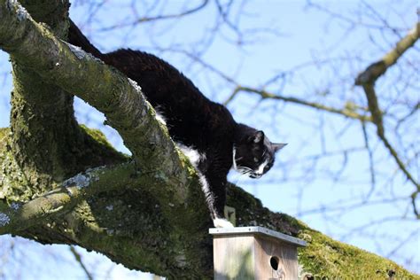 ...jedes Tierlein hat sein Essen... Foto & Bild | tiere, haustiere