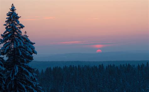 Sunset Forest Jyrki Salmi Flickr